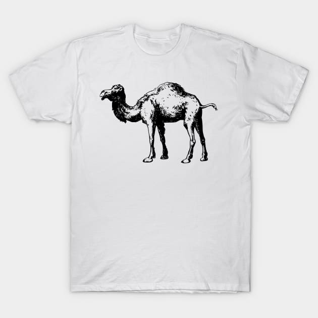 Camel T-Shirt by linesdesigns